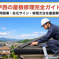 画像2842