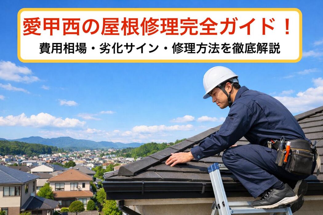 画像2842