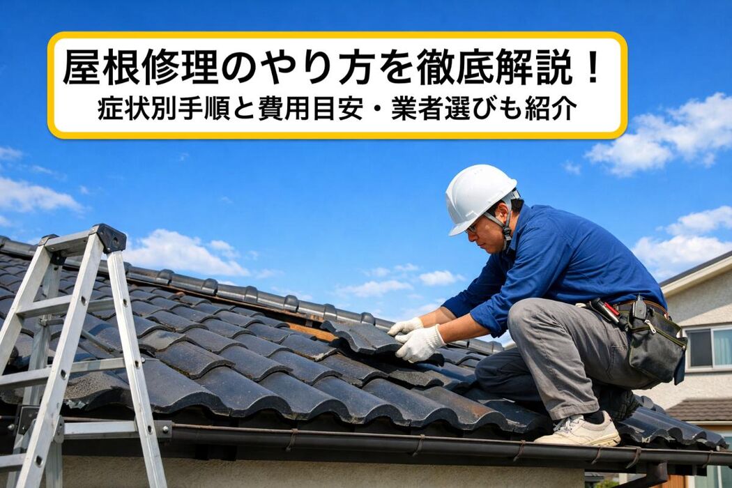 画像3015