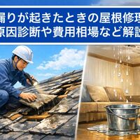 画像3089