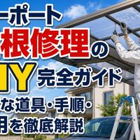 画像3309