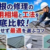 画像3397