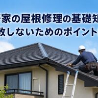 画像3911