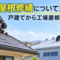 画像4079